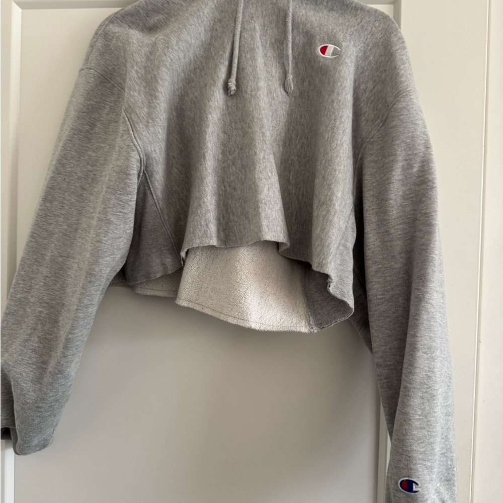 Champion Gray Cropped Hoodie